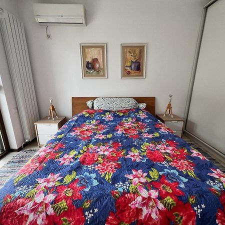 Kazanlak Large Guest House Apartment Near The Center With Full Kitchen & Dining Room, King Beds, Garden Patio, Free Parking & Self Check-In Esterno foto